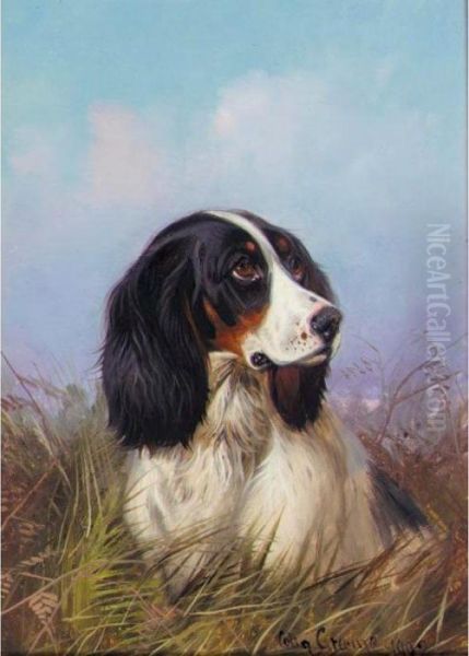 A Black And White Setter; A Brown And White Setter - view 1