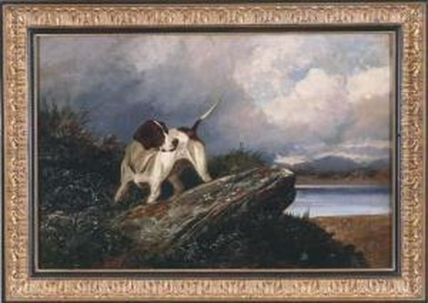 A Pointer In A Landscape - view 1