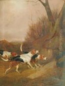 Hounds At The Mouth by Colin Graeme Roe