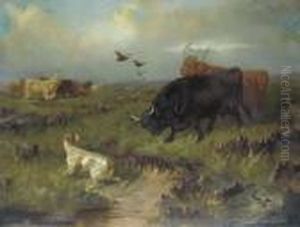 Highland Cattle, With A Setter And Grouse On The Moor