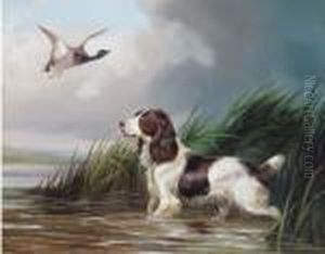 A Spaniel Putting A Mallard Up by Colin Graeme Roe