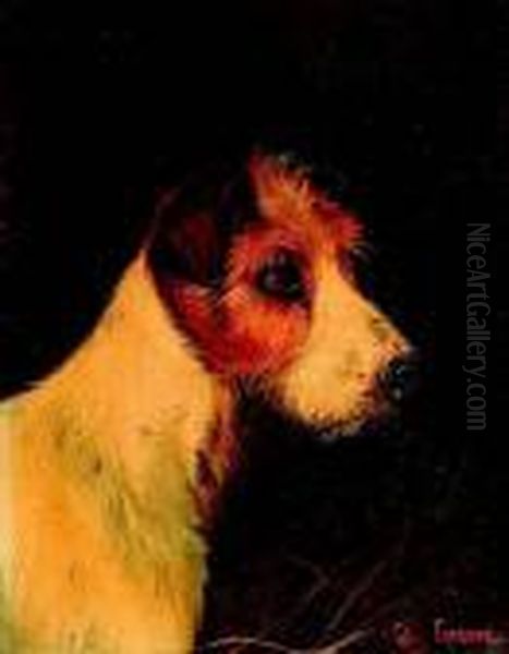 A Terrier - view 1