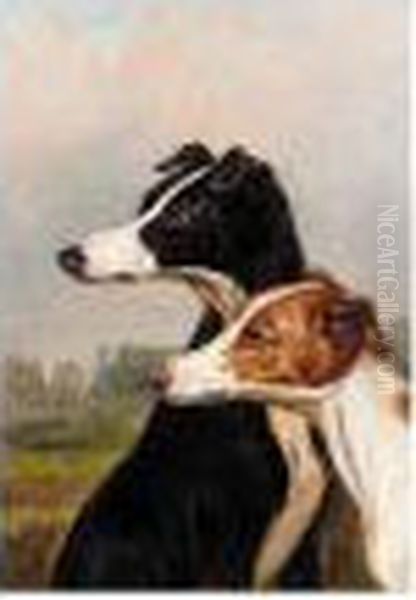 Head Studies Of Dogs - view 1