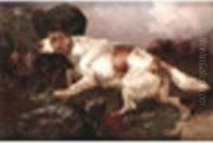Graeme A Setterworking Signed, Oil On Canvas 7 X 10in by Colin Graeme Roe