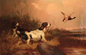Spaniels Flushing Out A Mallard by Colin Graeme Roe
