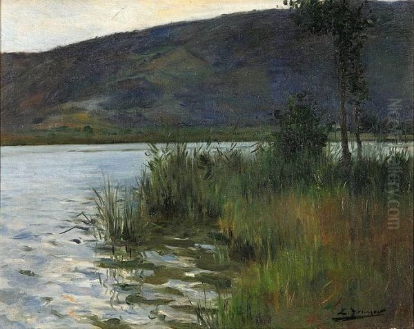 Vista Fluvial - view 1