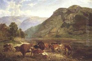 Gowbarrow Park Ullswater