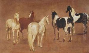 Study of Five Horses by Adam Frans van der Meulen