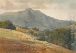 View Of Mount Tamalpais by Percy Gray
