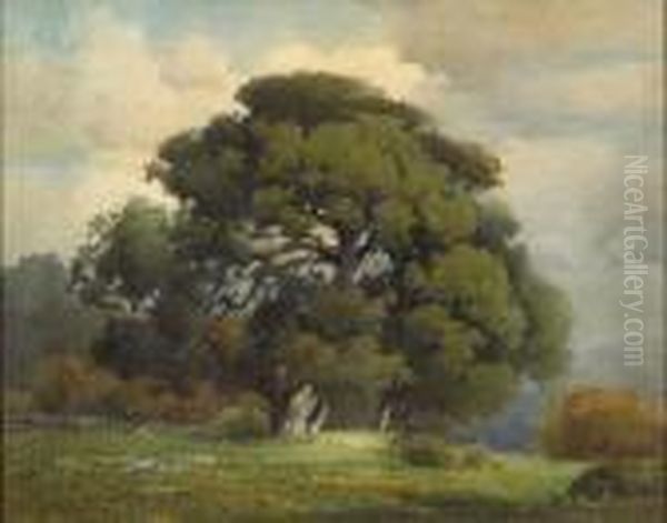 Oaks Under A Cloudy Sky - view 1