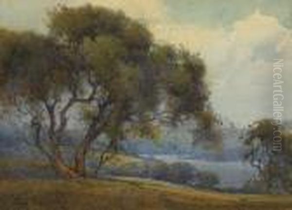 California Oaks - view 1