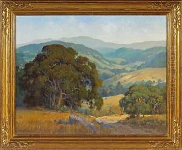 Cattle Grazing Amongst Marin Oaks - view 1