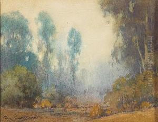 Misty Morning, California - view 1