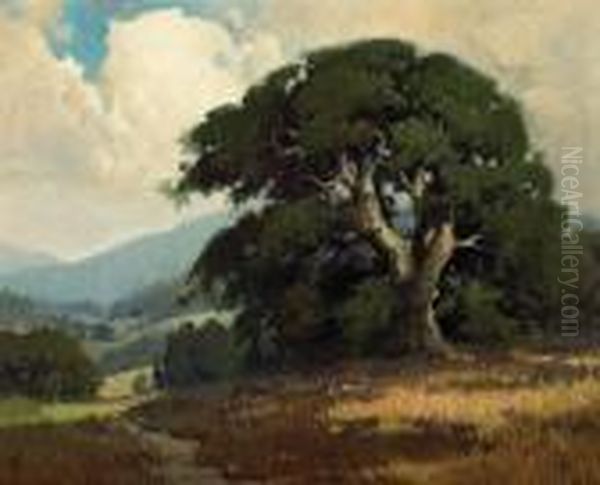 Shadow Of An Oak - view 1
