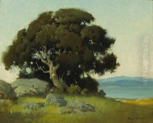 Oak Tree