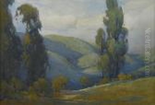 Marin Hills - view 1