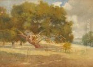 Majestic Oaks