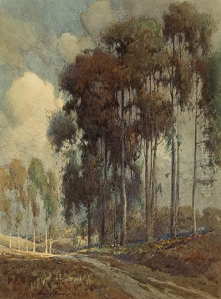 Road Along A Line Of Eucalyptus Trees - view 1