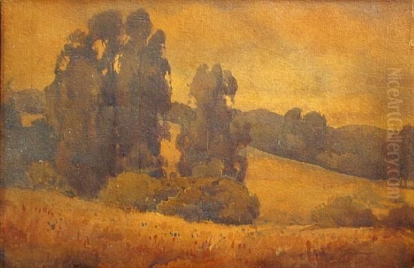 Eucalyptus - view 1