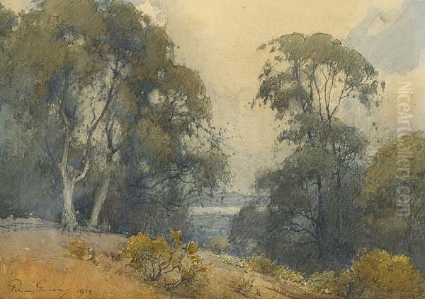 Marin Landscape - view 1
