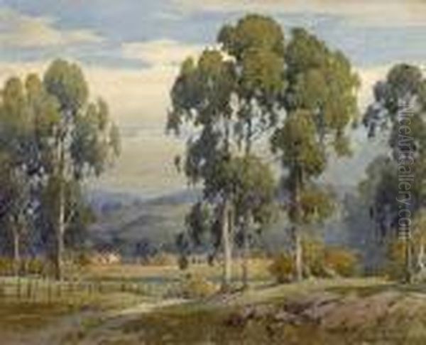 Eucalyptus With A Farmhouse In The Distance - view 1