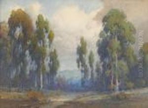 Eucalyptus And Clouds