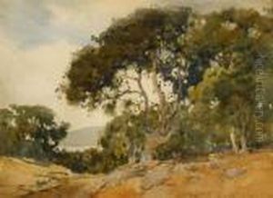 Landscape Landscape
