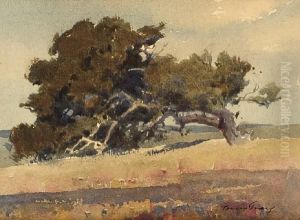 California Oak by Percy Gray