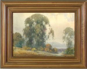 View Of Mt. Tamalpais From The Berkeleyhills by Percy Gray
