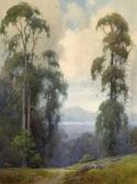 Mount Tamalpais From Clairmont - view 1