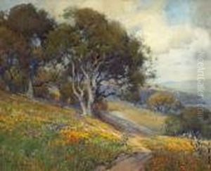 A Path Through Poppies And Oaks, Thought To Befrom Sausalito Hills Toward Raccoon Strait