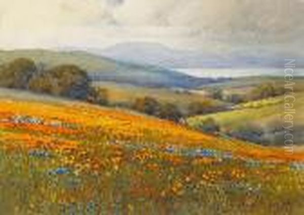 Rolling Hills Of Poppies And Lupine With Thebay Beyond - view 1