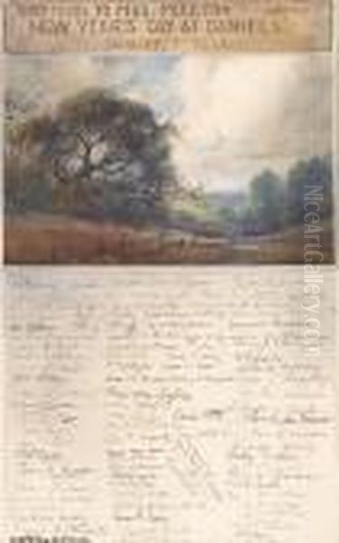 Old Oak - view 1