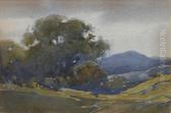 Old Oaks With Mount Tamalpais In The Distance - view 1