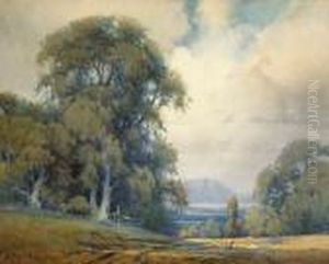 Old Oaks And Mt. Tamalpais by Percy Gray