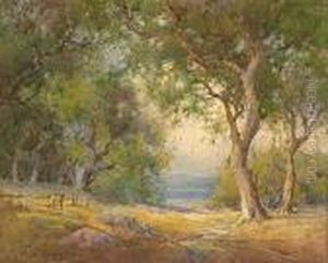 California Oak Grove by Percy Gray