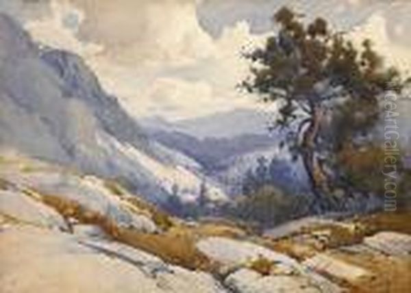 An Isolated Tree In The High Sierras - view 1