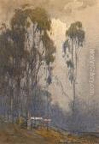 Eucalyptus Grove With A Farmhouse In The Distance - view 1