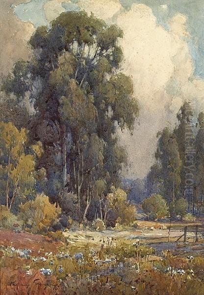 A Quiet Stream Among Wildflowers And Eucalyptus Trees - view 1