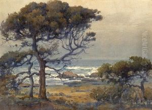 Pines And Sea