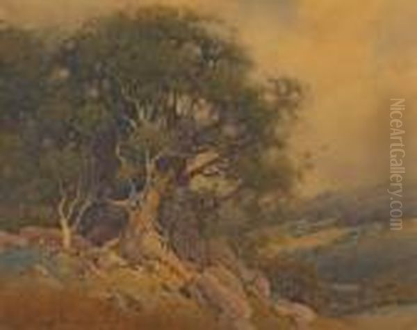 Hillside Oak - view 1