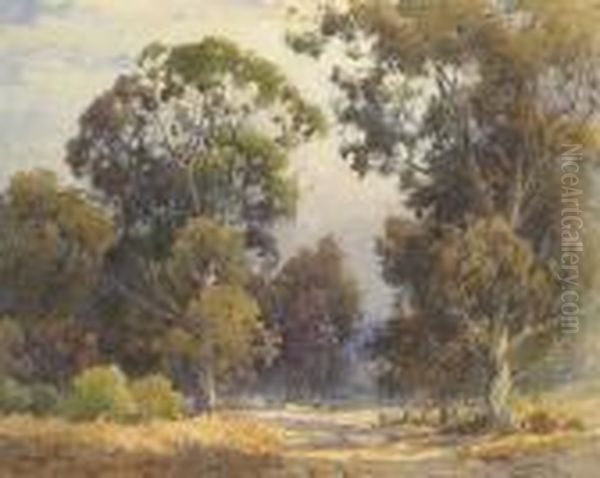 Sunlit Path Through The Trees - view 1