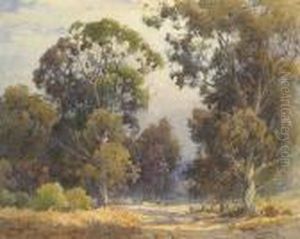 Sunlit Path Through The Trees by Percy Gray