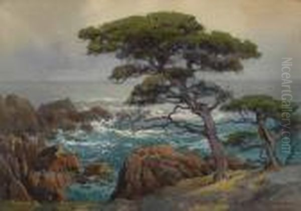 Seaside Cypress - view 1