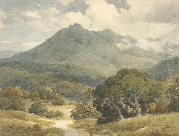 A View Of Mt. Tamalpais - view 1
