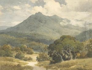 A View Of Mt. Tamalpais by Percy Gray