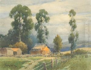 Farmhouse Among The Eucalyptus Trees by Percy Gray