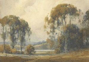 Eucalyptus And Clouds With Distant Hills by Percy Gray
