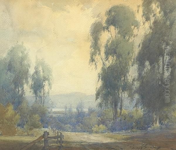Gum Trees - view 1