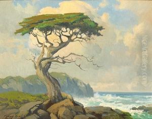 Cypress Along The Monterey Coast by Percy Gray
